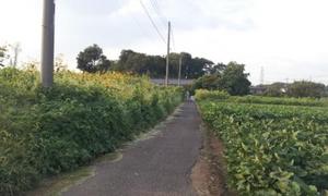 20120830_162950.jpg