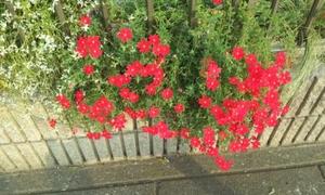 20121016_065259.jpg