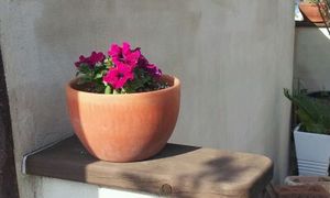 20130515_155519.jpg