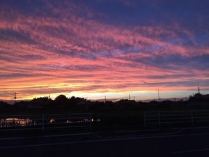 夕陽ー２.jpg